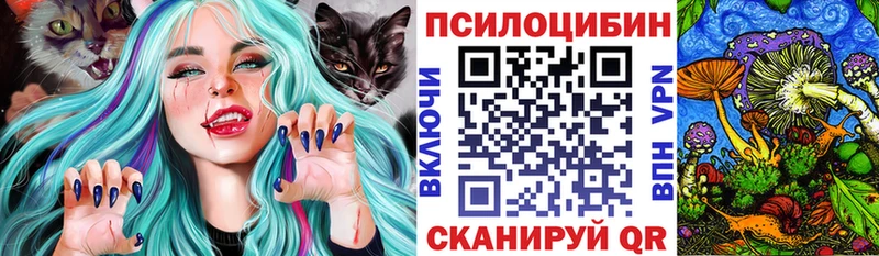 Псилоцибиновые грибы Psilocybe  Лабинск 